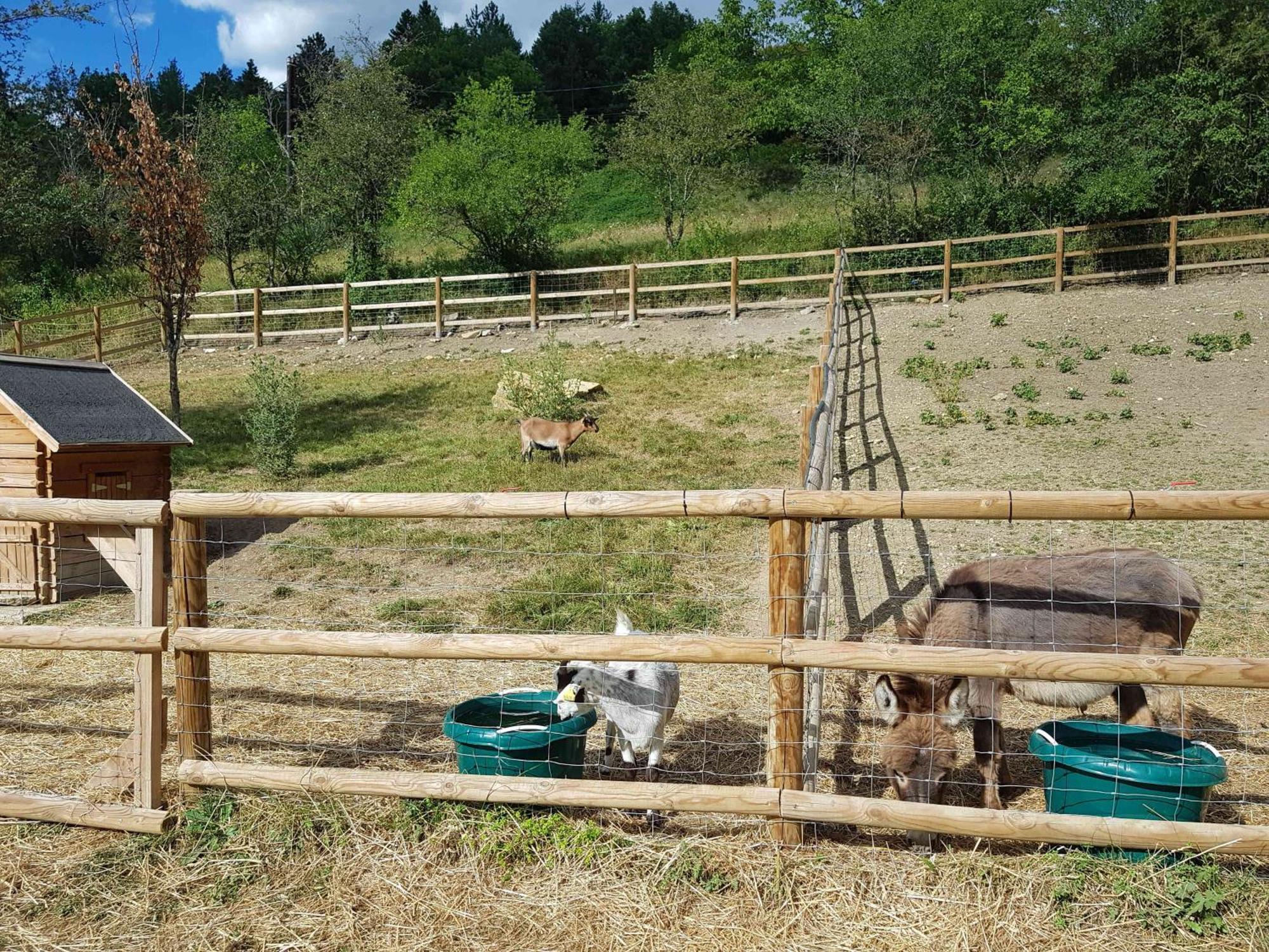 Camping La Ferme De Castellane Luaran gambar