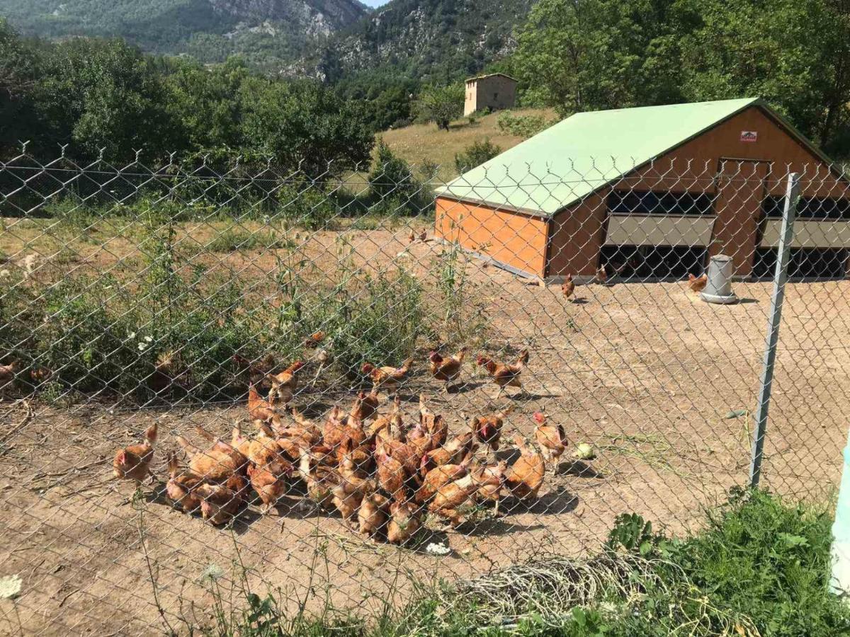 Camping La Ferme De Castellane Luaran gambar